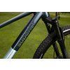 XP 6.6 - Brushed Teal / Teal (Velikost 15.5" (S))