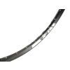 Rodi Tryp 30  Disc  MTB 29" ráfek  32 děr