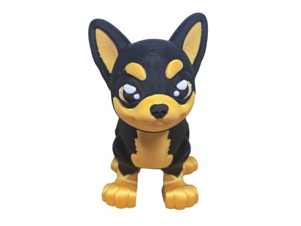 pejsek  černá čivava zepředu| Surprise-box.cz