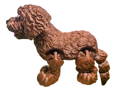 labradoodle surprise box 2