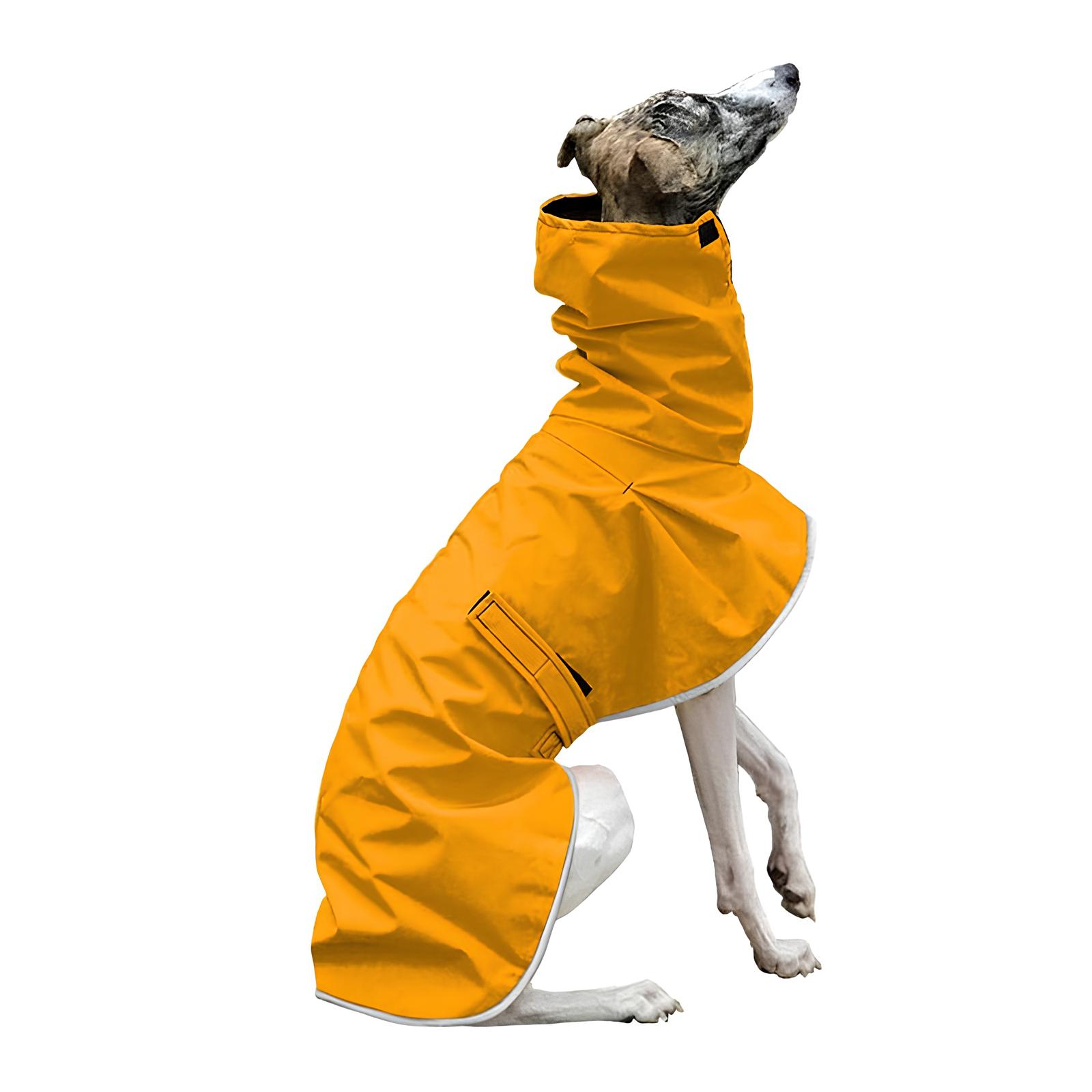 Regenmantel Rain für Hunde
