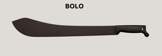 bolo1