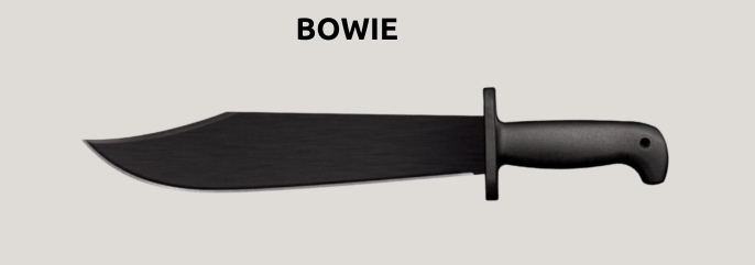 bowie1