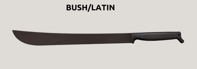 latin1