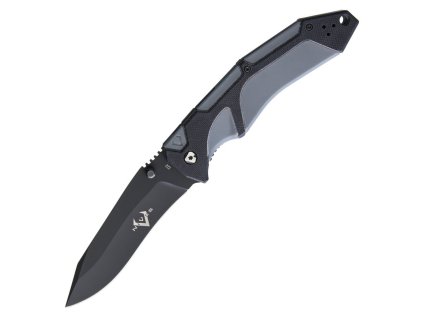 vni30169
