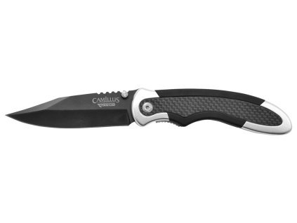 19079 chameleon 01 20044.1703687054.1280.1280