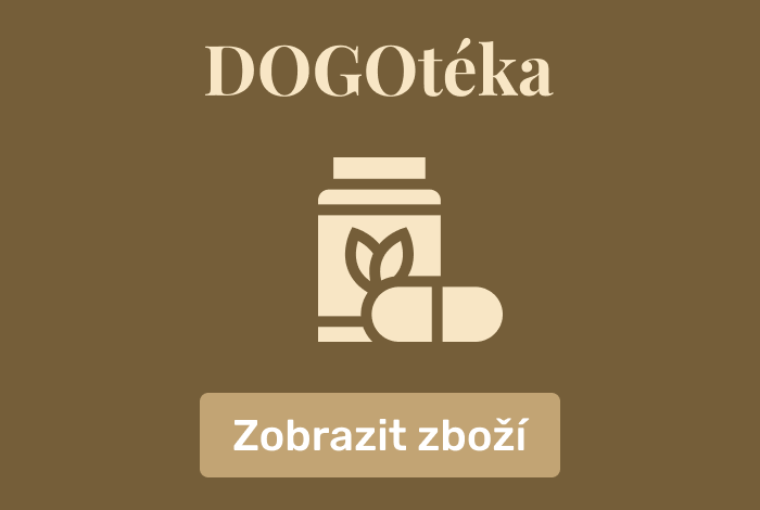 Dogotéka