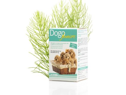 DOGOjunior