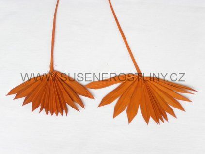 palm%20sun%20spear%20mini%20orange
