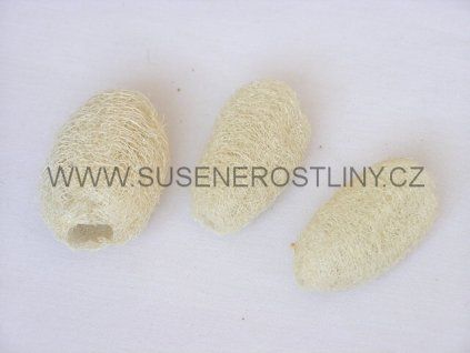luffa%20white%20mini