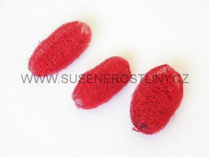 luffa%20red%20mini