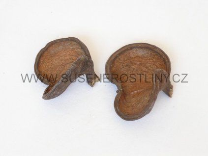 badam