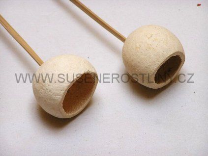 bell%20cup%20on%20stem%20white