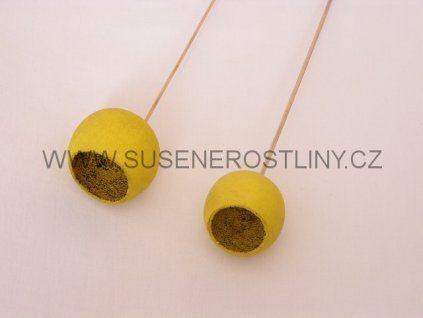 bell%20cup%20yellow%20on%20stem