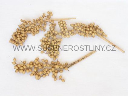 canella%20special%20natur