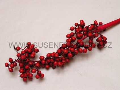 canella%20special%20red