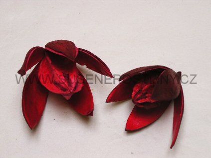 lily%20red