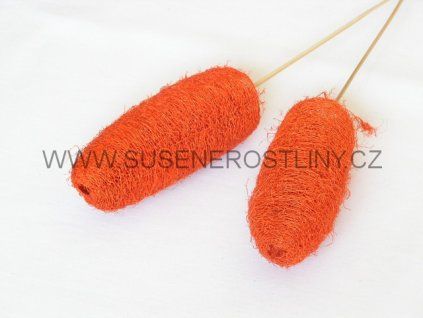luffa%20orange%20on%20stem