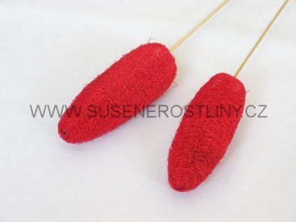 luffa%20red%20on%20stem
