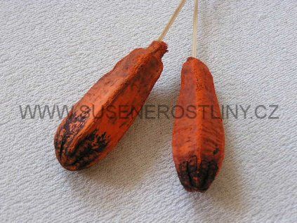 mehogany%20on%20stem%20orange