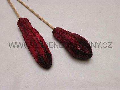 mehogany%20on%20stem%20red