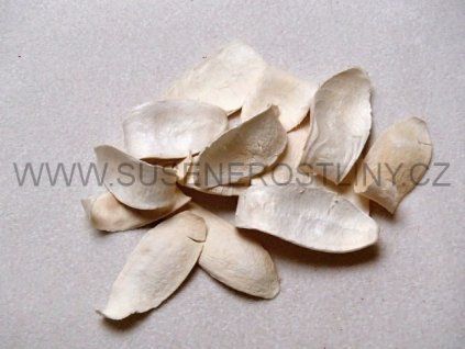 mehogany%20spoon%20white