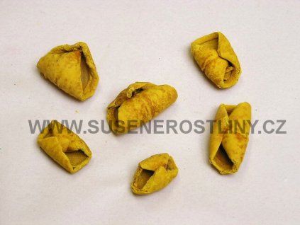 red%20petals%20yellow