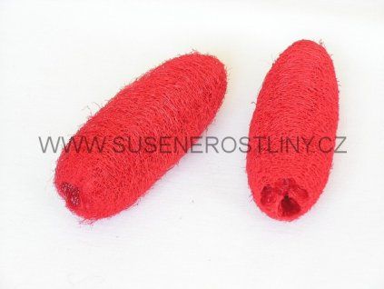 luffa%20red