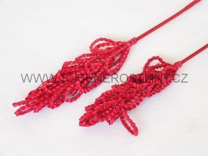 palm%20possy%20red%20on%20stem