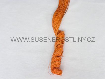 ting%20ting%20orange