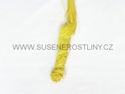 ting%20ting%20yellow