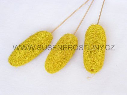luffa%20yellow%20on%20stem