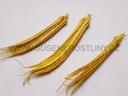 lady%20finger%20yellow