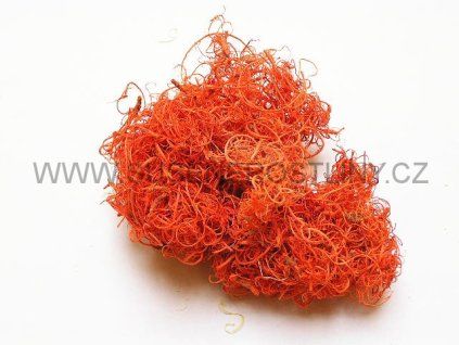 curly%20moos%20orange%20