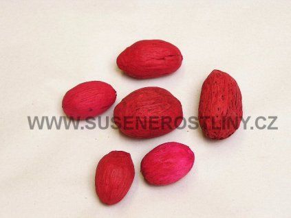 amra%20pod%20red 7