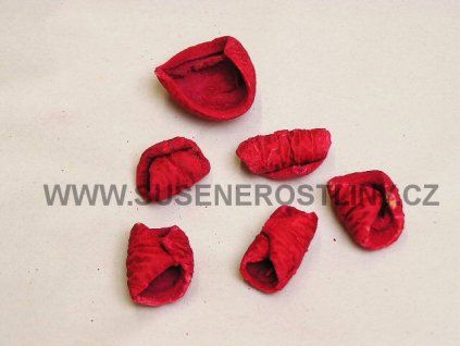 red%20petals%20red