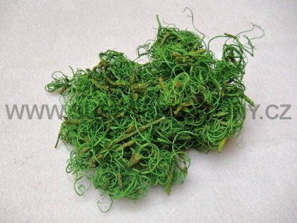 curly%20moos%20green