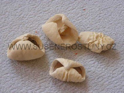 red%20petals%20white