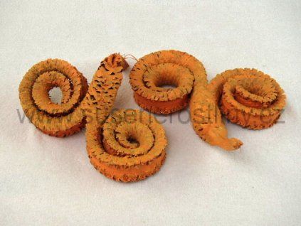 palm%20ring%20orange