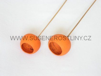 bell%20cup%20orange%20on%20stem