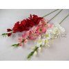 gladiola, cena za 3 ks (Barva červená)
