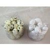 vajíčko pěna 3 cm, cca 36 ks/box (Barva krémová)