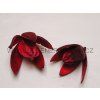 lily%20red
