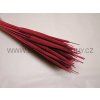 reed%20spadix%20c%CC%8Cerveny%CC%81 7