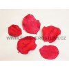 jacaranda%20c%CC%8Cervena%CC%81 2
