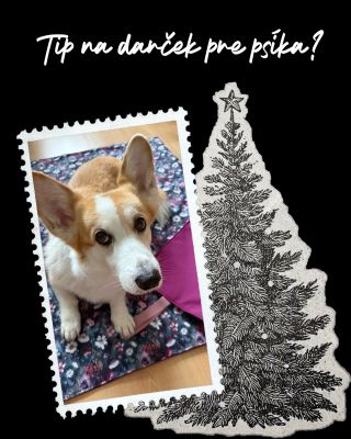 🐶🎁 Tip na darček pre psíka, ktorý chodí s tebou všade ❤️Teraz za zvýhodnenú cenu ako set spolu so sušienkovníkom❤️...