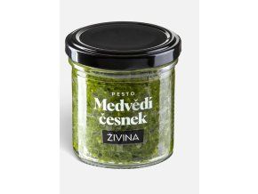 živina medvědí česnek