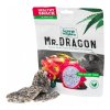 mr.dragon
