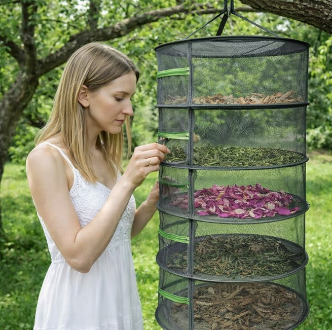 Jak správně sušit byliny, rostliny a ovoce?