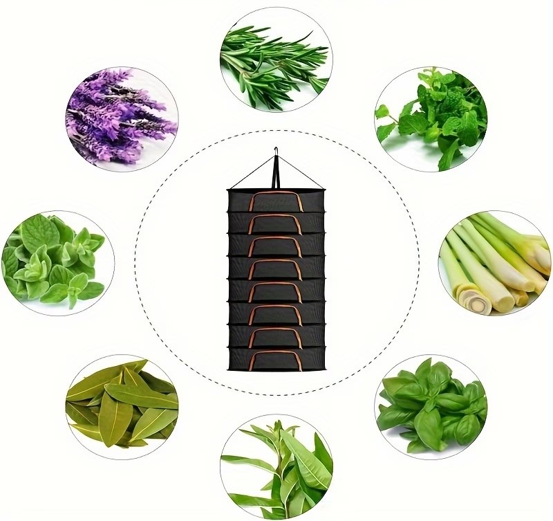 Co lze sušit v sušících sítích? Praktický průvodce